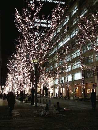 b0051666_20341730.gif