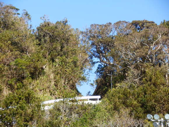 e0292172_20485053.jpg