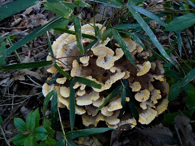 d0019074_944390.jpg