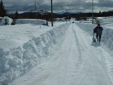 b0080681_133429.jpg