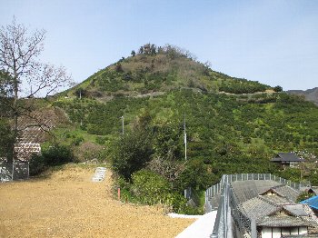 f0003283_12480939.jpg