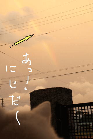 a0187087_21262534.jpg