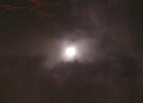d0053294_0372884.jpg