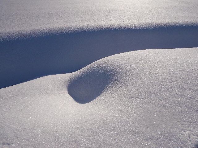 a0199297_2012159.jpg