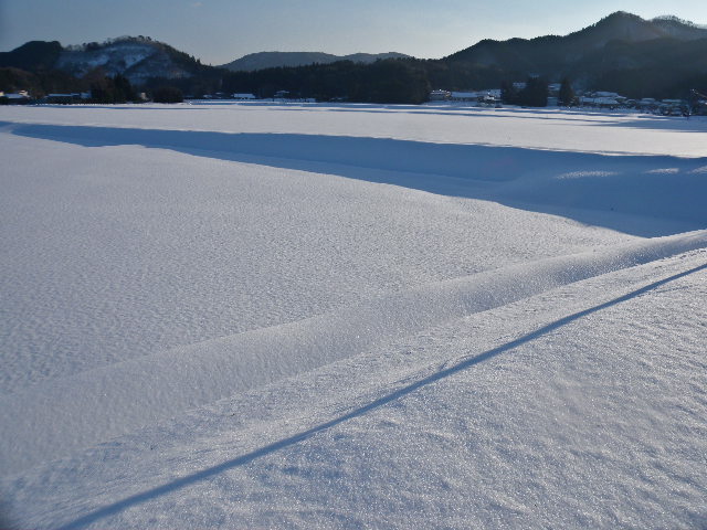a0199297_2044843.jpg