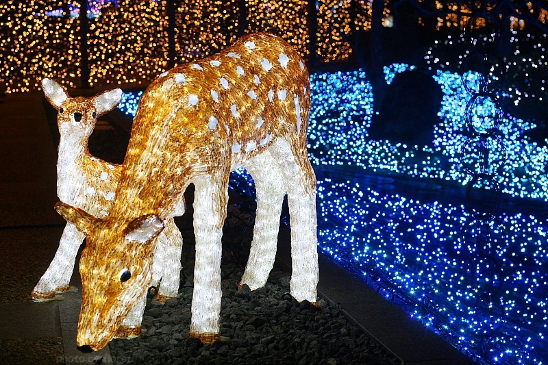 f0083400_2091340.jpg