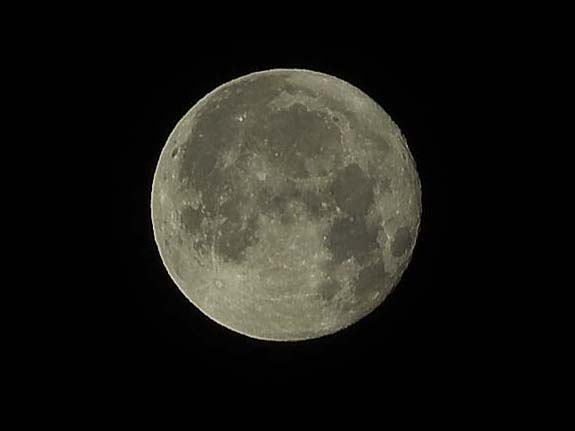 b0165802_1474837.jpg