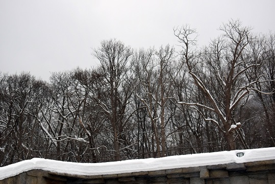 a0151913_0142946.jpg