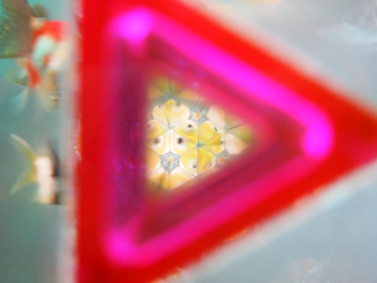 d0169613_2230258.jpg