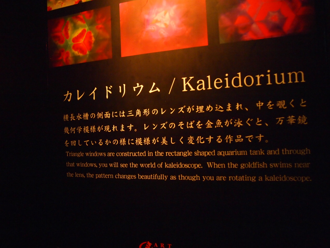 d0169613_2231933.jpg