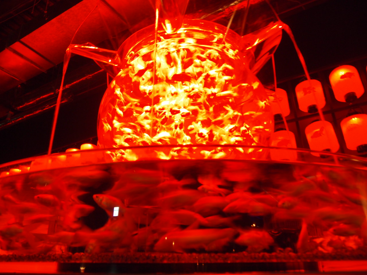 d0169613_22341052.jpg