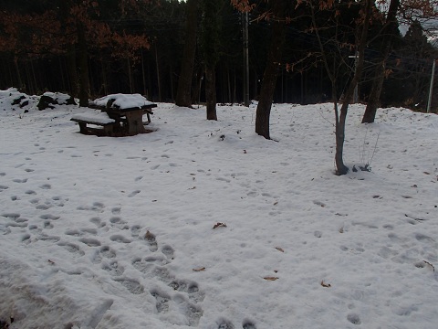 f0031420_17383886.jpg