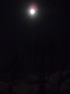 f0031420_17504910.jpg