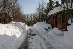 b0174425_10572972.jpg