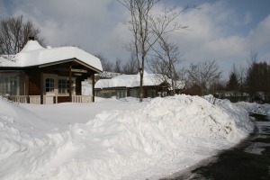 b0174425_10584428.jpg