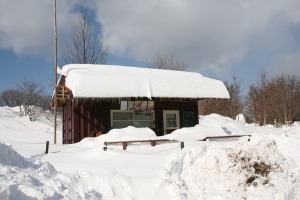b0174425_10594395.jpg