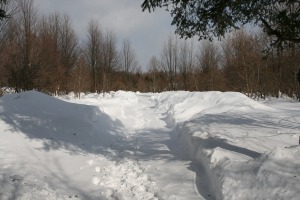 b0174425_1113765.jpg