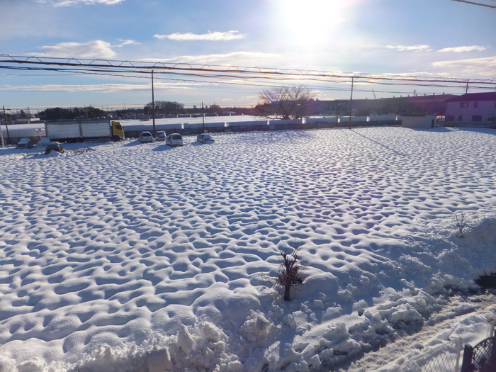 c0211226_21392620.jpg