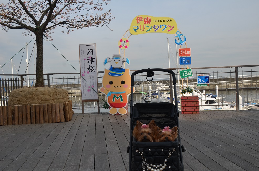 f0124830_22214974.jpg