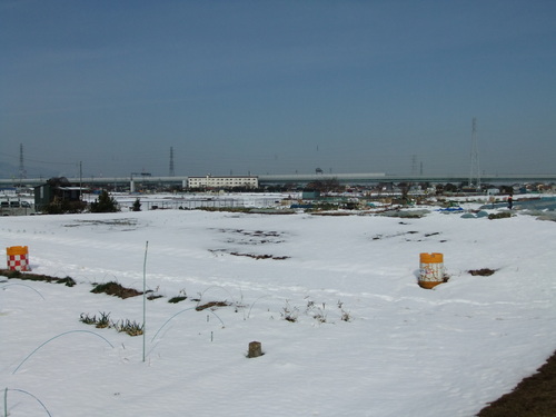b0137932_13193699.jpg
