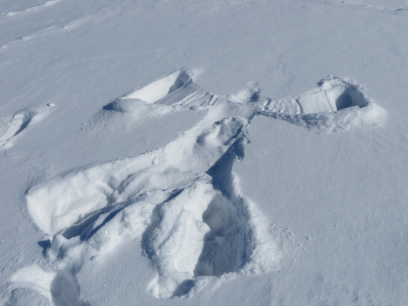 d0216939_428661.jpg