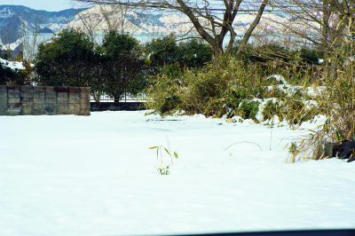 a0135840_14284421.jpg