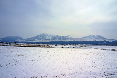 a0135840_1438143.jpg