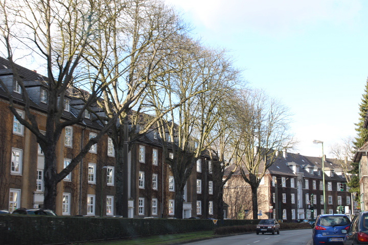 c0153740_1251190.jpg