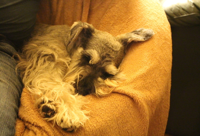 c0153740_130037.jpg