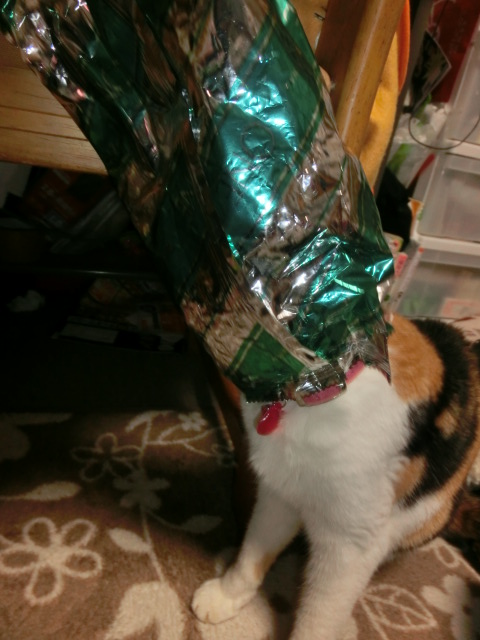 c0194042_20304844.jpg