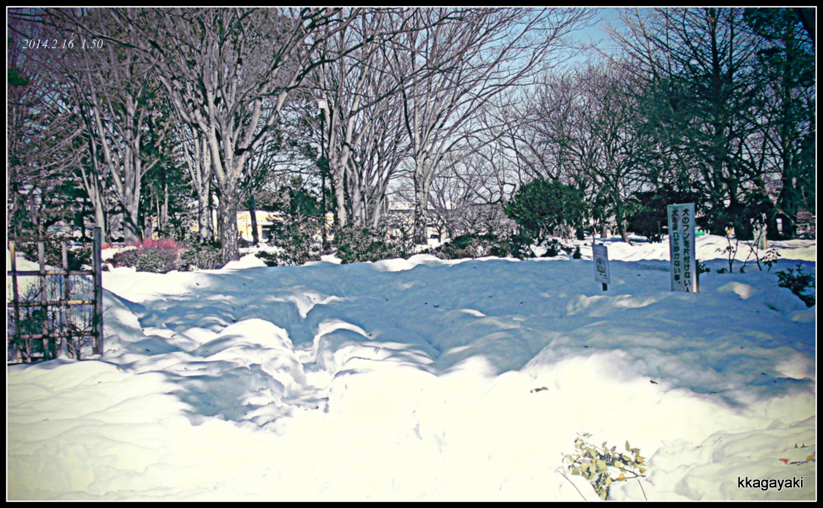 e0206242_21434764.jpg