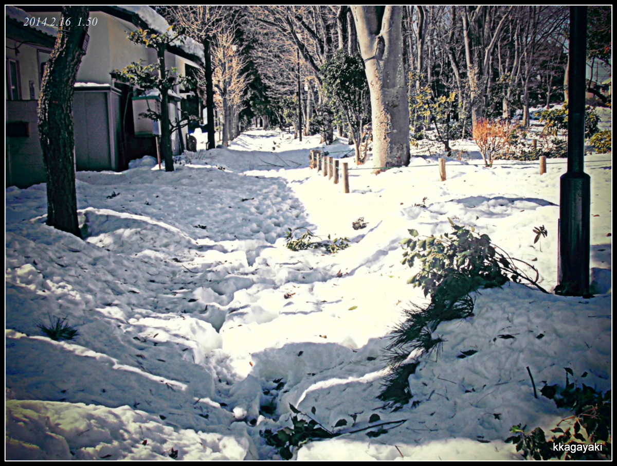 e0206242_21441781.jpg