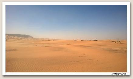 d0227344_585271.jpg