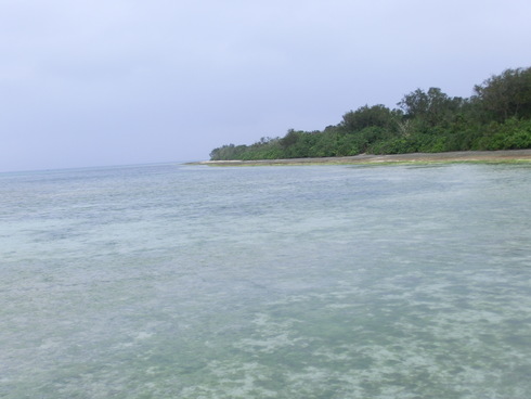 d0205250_18352695.jpg
