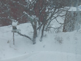 e0004756_20121135.jpg