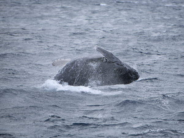 b0062363_20174456.jpg