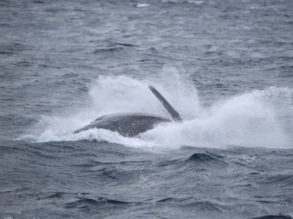 b0062363_2017593.jpg