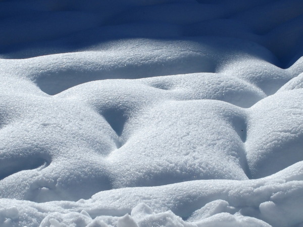 c0122670_131180.jpg