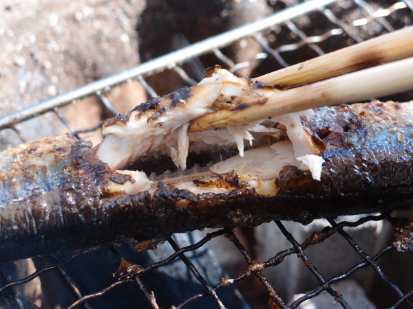 c0122670_144395.jpg