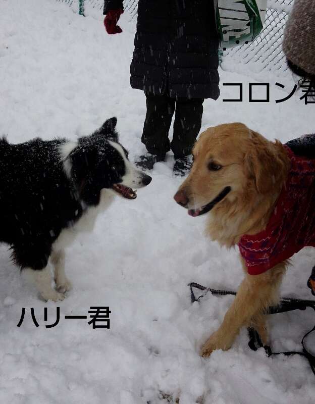 f0230380_22242033.jpg