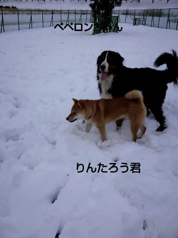f0230380_22394814.jpg