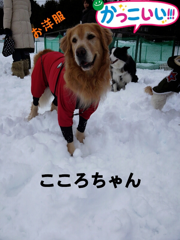 f0230380_22401929.jpg