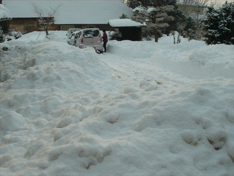 b0080681_19153227.jpg
