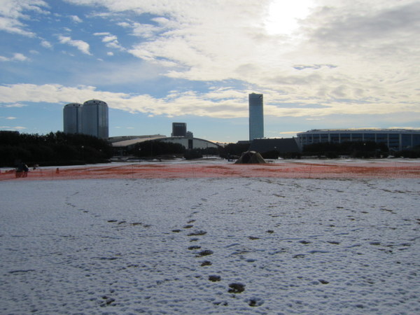 d0098295_22274768.jpg