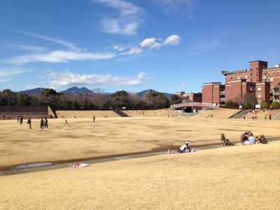f0138995_263055.jpg