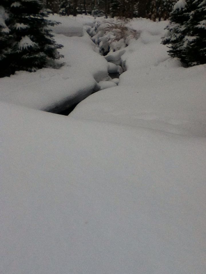 e0322201_10295626.jpg
