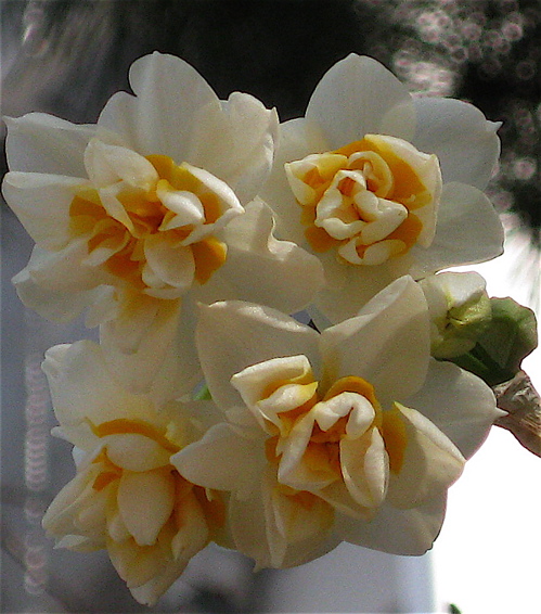 a0164011_2084692.jpg