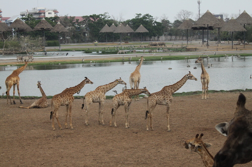 f0233916_13331148.jpg