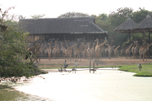 f0233916_14485197.jpg