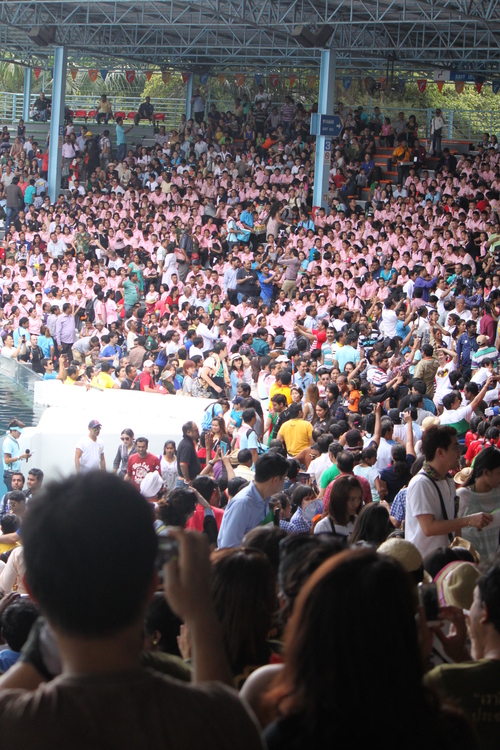 f0233916_1511096.jpg